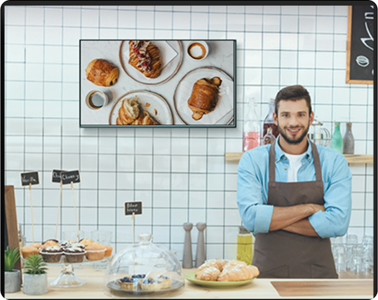 Single Mounted Wall Screen