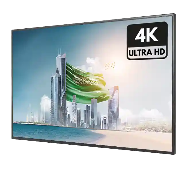 Indoor Wall Mounted Screen